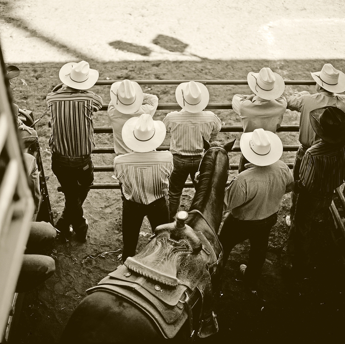 Jules Frazier: 7 Hats, 2009, Fine art archival print, 22 x 22 and 40 x 40 inches