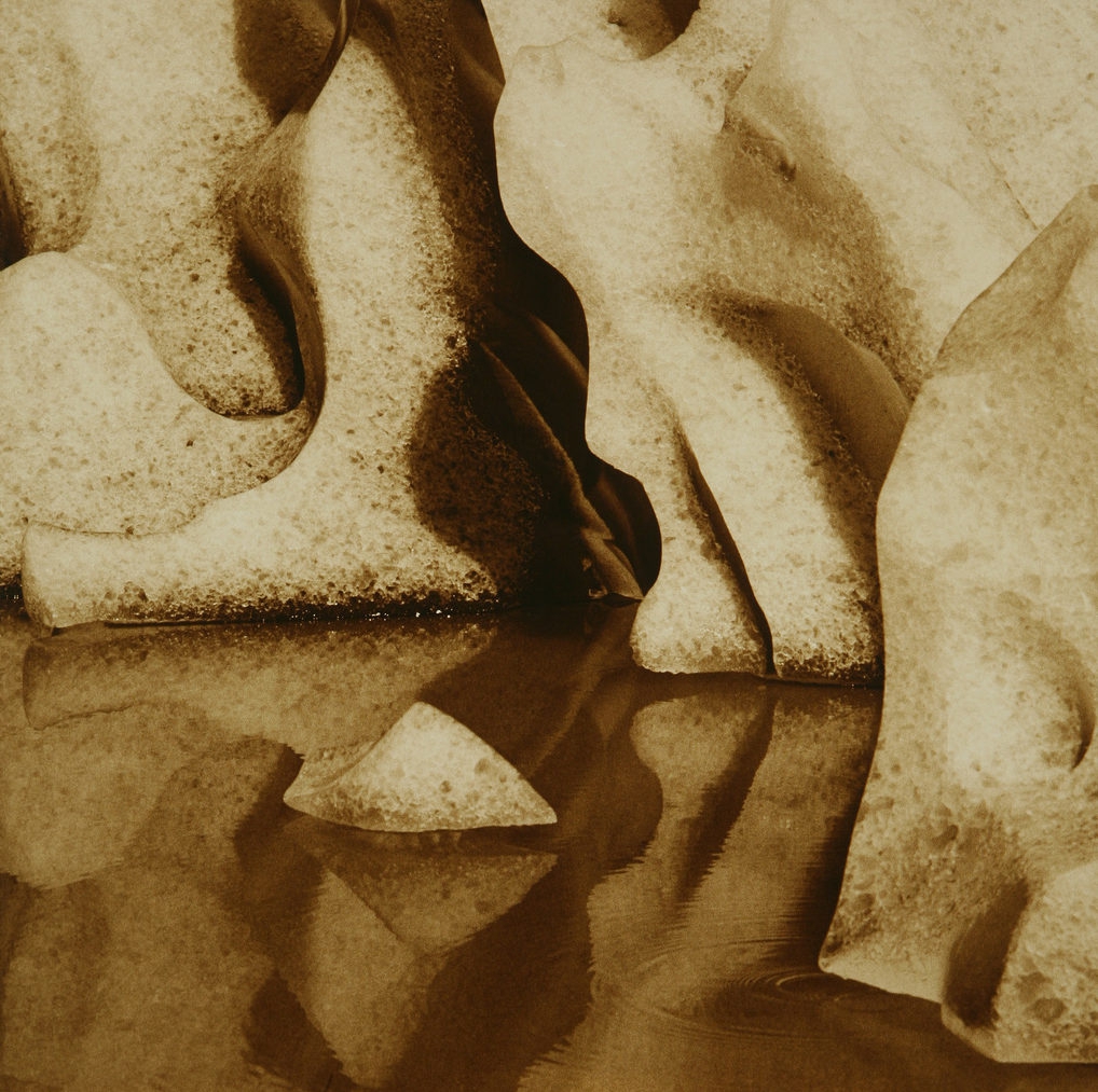 Rena Bass Forman's photography documents the rapidly changing landscape due to global warming.