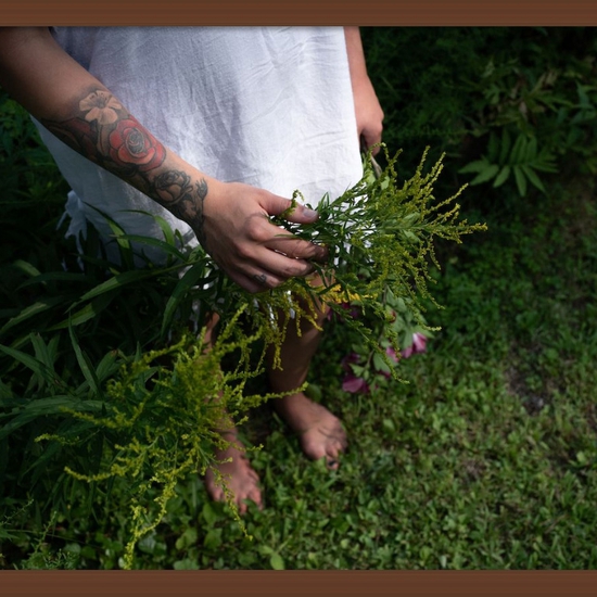 (10258) Abby and the Goldenrod (Framed) -- Deb Achak