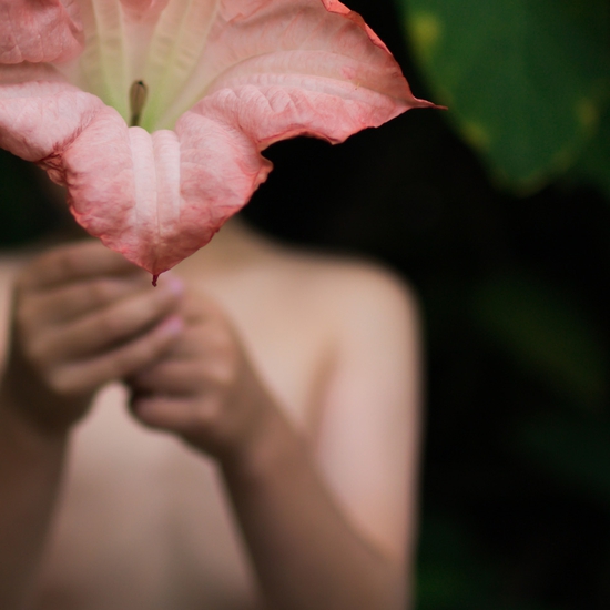Detail of 'Angel Trumpet'