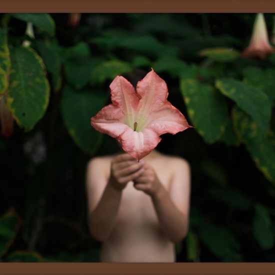 Deb Achak: Angel Trumpet, 2017, Archival pigment print, 16 x 24 inches (framed dimensions: 17.5 x 25.5 x 2 inches), available in other sizes