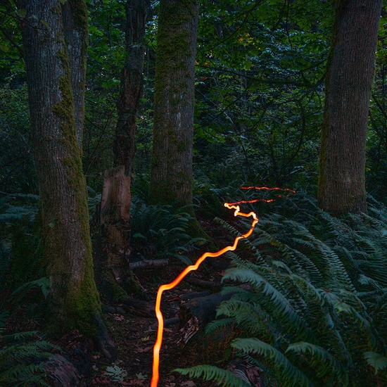 Deb Achak: A Walk in the Woods, 2019, Digital archival pigment print, 20 x 30, 30 x 45, 40 x 60 inches