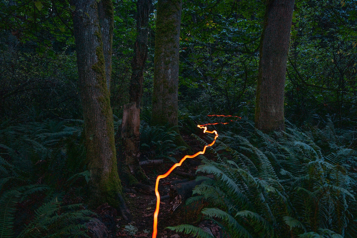 Deb Achak: A Walk in the Woods, 2019, Digital archival pigment print, 20 x 30, 30 x 45, 40 x 60 inches