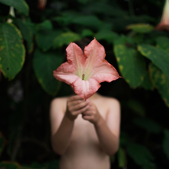 Deb Achak: Angel Trumpet, 2017, Digital archival pigment print, 20 x 30, 30 x 45, 40 x 60 inches