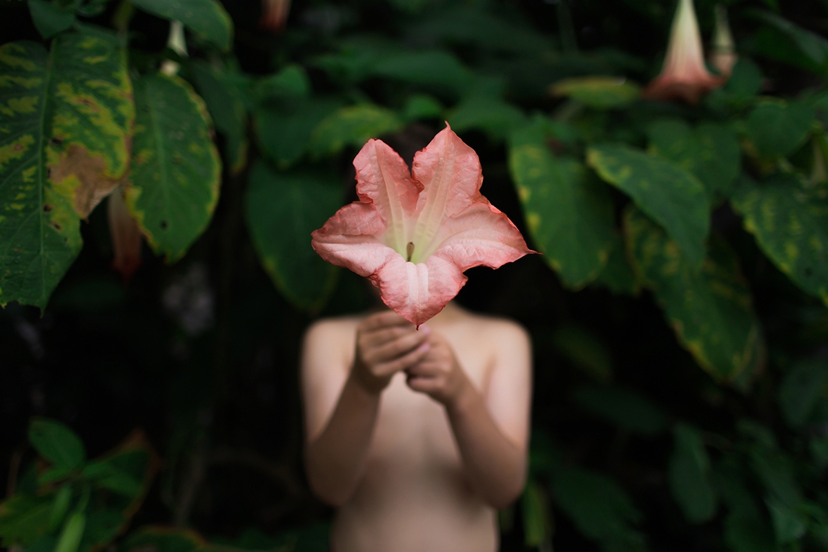 Deb Achak: Angel Trumpet, 2017, Digital archival pigment print, 20 x 30, 30 x 45, 40 x 60 inches