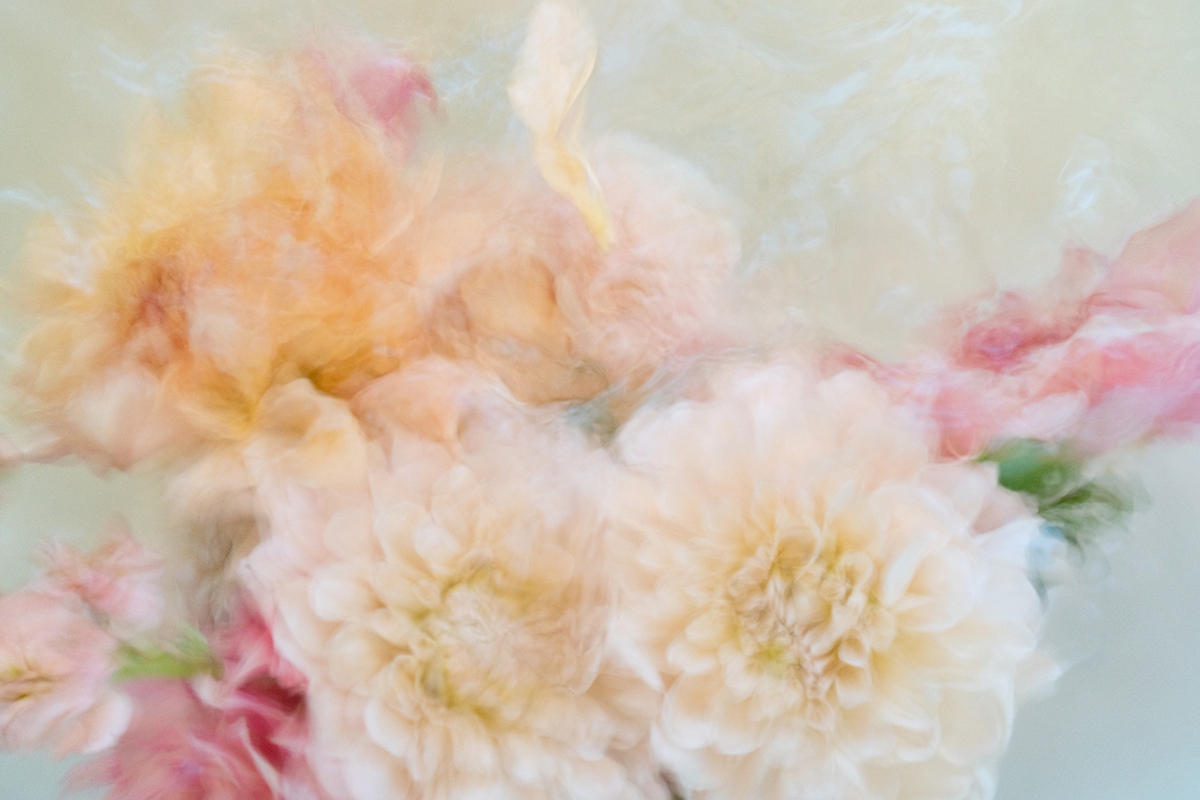 Deb Achak: Dahlia Mixed Bouquet (no. 6), 2020, Digital archival fine art print, available in various sizes