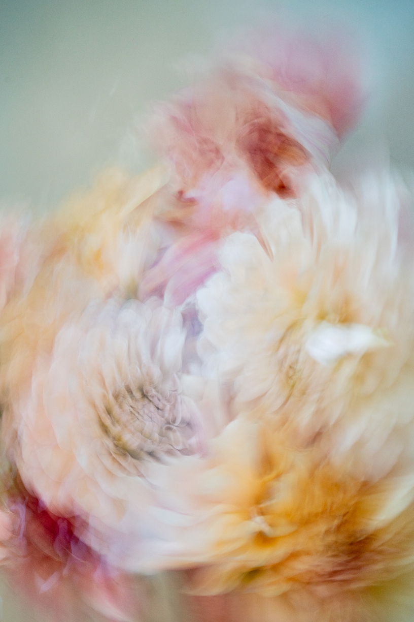 Deb Achak: Dahlia Mixed Bouquet (no. 9), 2020, Digital archival fine art print, available in various sizes