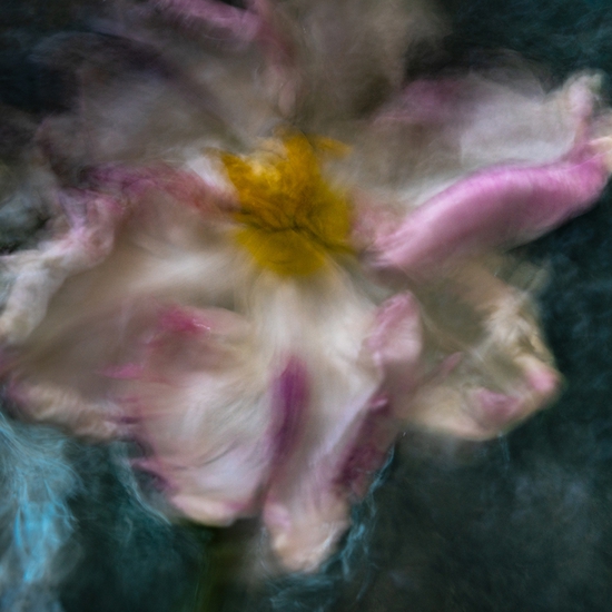 Deb Achak: Personal Space (No. 6), 2021, Digital archival fine art print, Available in various sizes