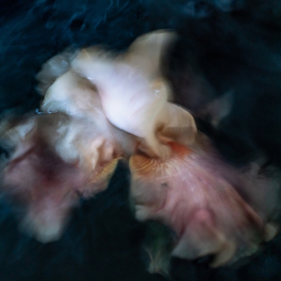 Deb Achak: Personal Space (no.7), 2021, Digital archival fine art print, Available in various sizes