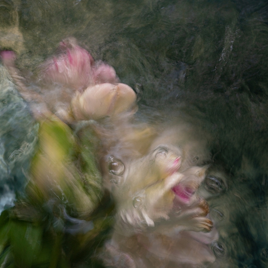 Deb Achak: Personal Space (No.5), 2021, Digital archival fine art print, Available in various sizes