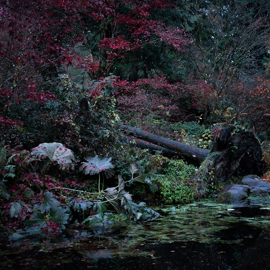 The Arboretum (in the fall)
