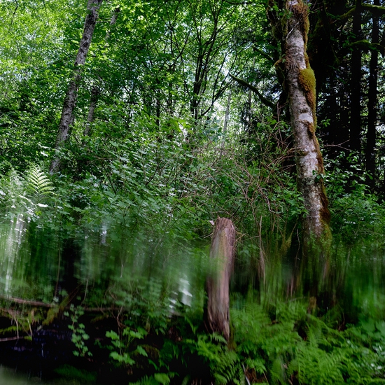 From the Tye River
