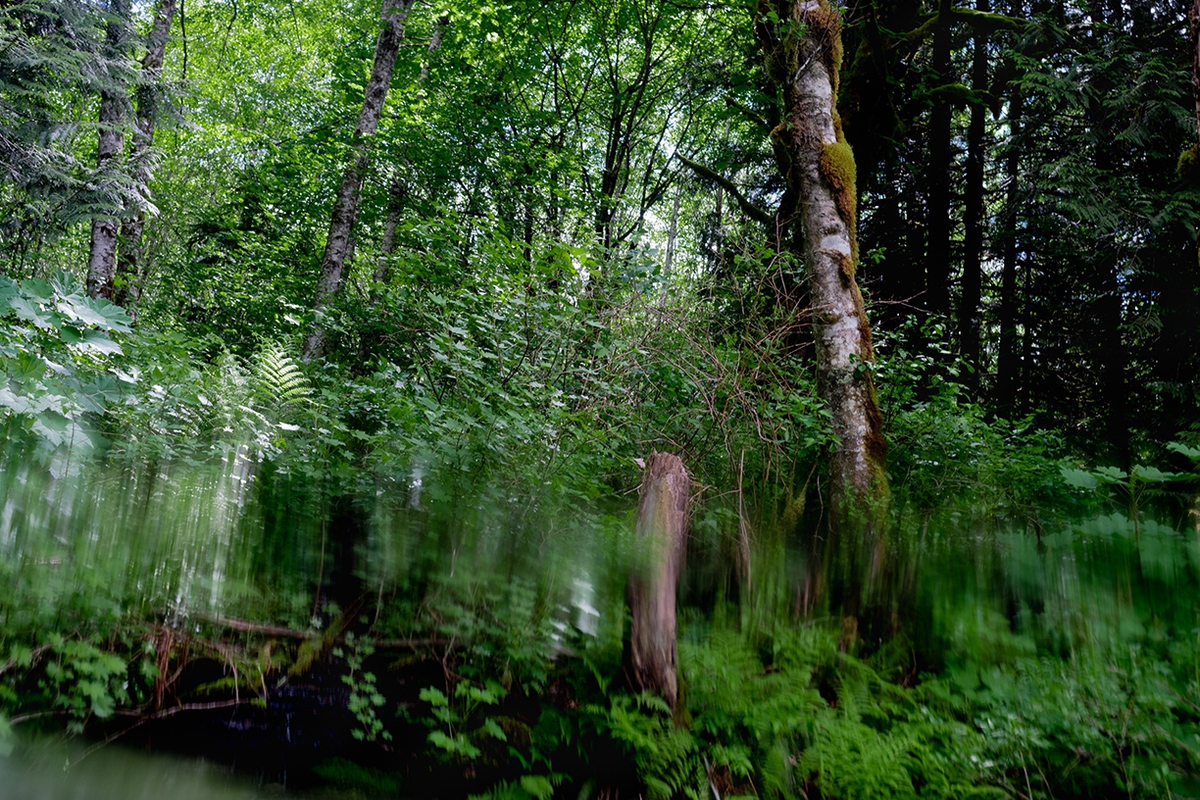 Deb Achak: From the Tye River, 2019, Digital archival pigment print,20 x 30, 30 x 45, 40 x 60 inches