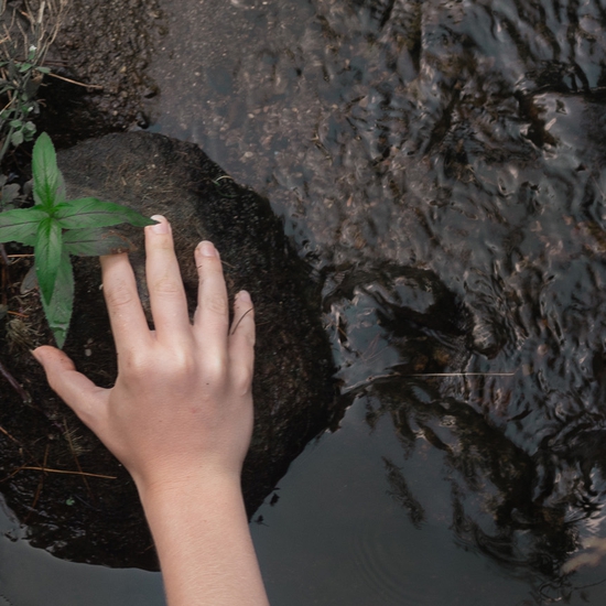 Detail of 'Grounding'