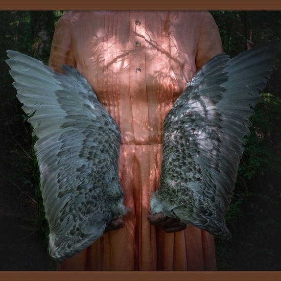 (10247) Gull Wings (Framed) -- Deb Achak