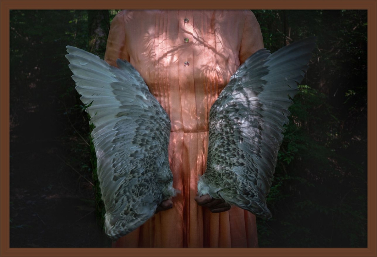 Deb Achak: Gull Wings, 2020, Archival pigment print, 20 x 30 inches (framed dimensions: 21.5 x 31.5 x 2 inches), available in other sizes