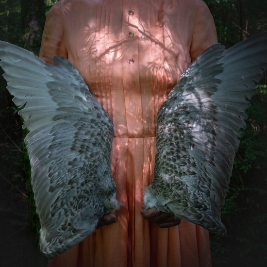 Deb Achak: Gull Wings, 2020, Archival pigment print, Available in various sizes