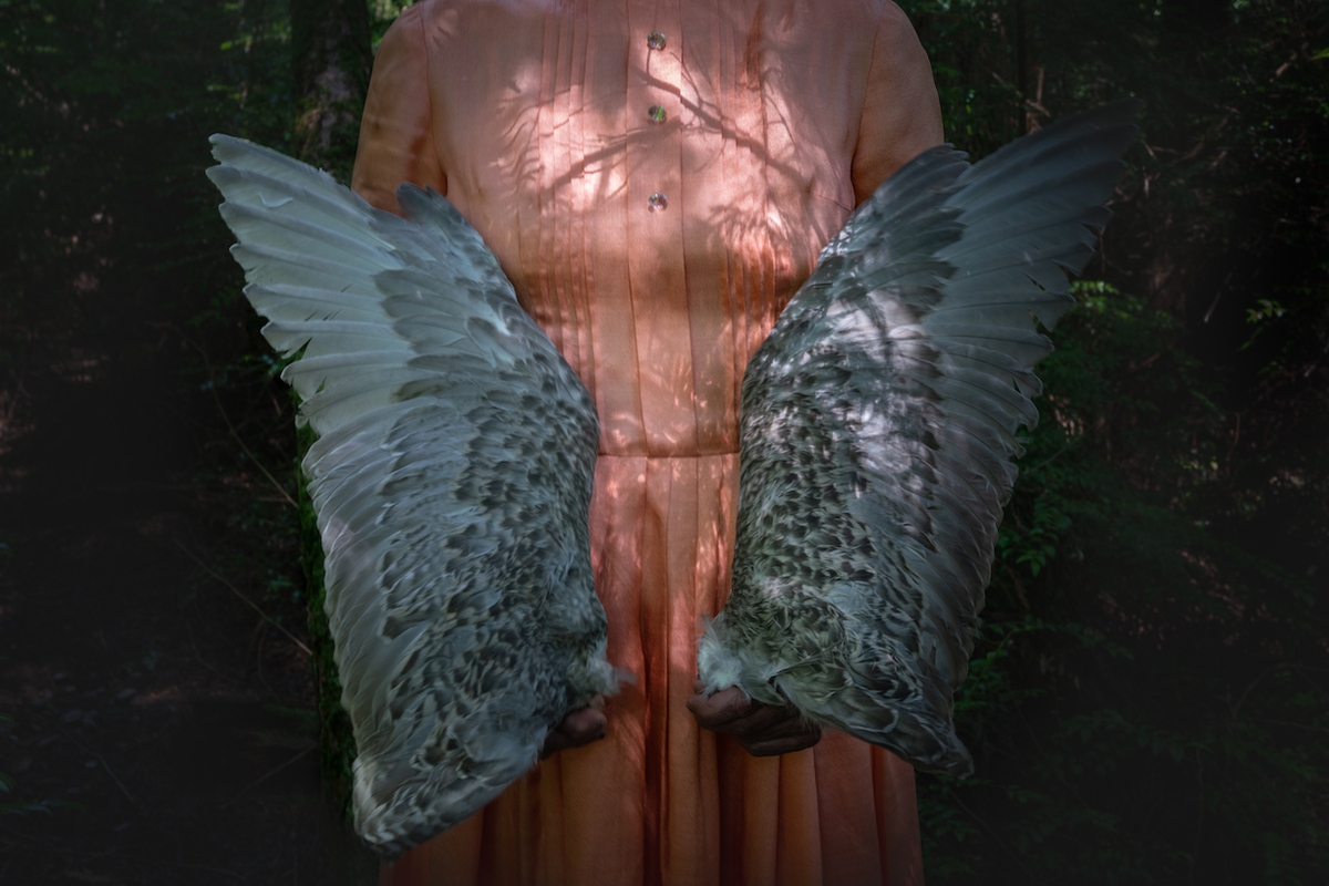 Deb Achak: Gull Wings, 2020, Archival pigment print, Available in various sizes