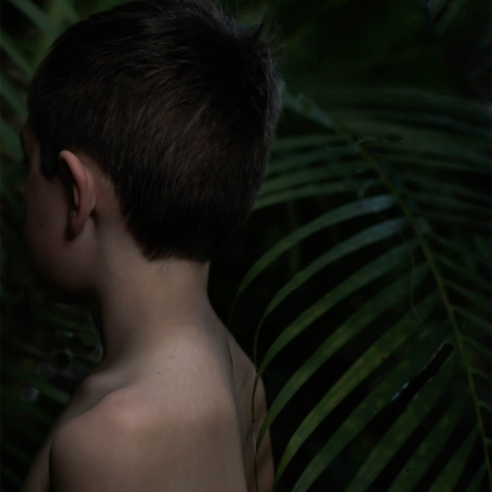 Detail of 'Henry, 2016'