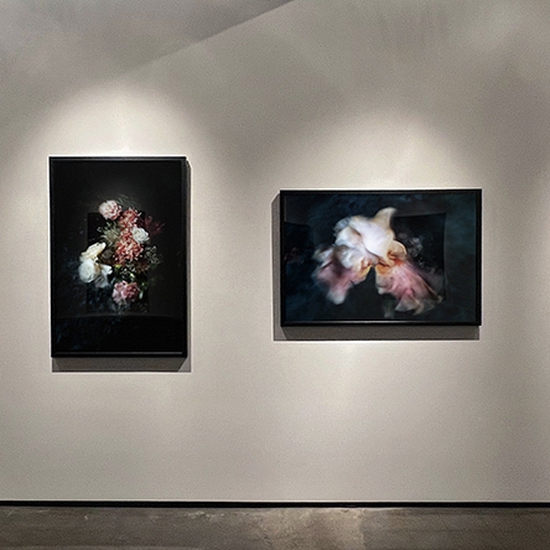 'Personal Space' 2022 Solo Exhibition