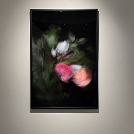 'Personal Space' 2022 Solo Exhibition