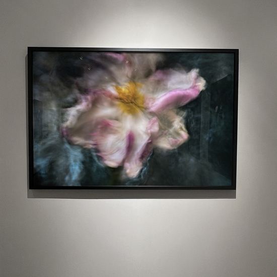 'Personal Space' 2022 Solo Exhibition