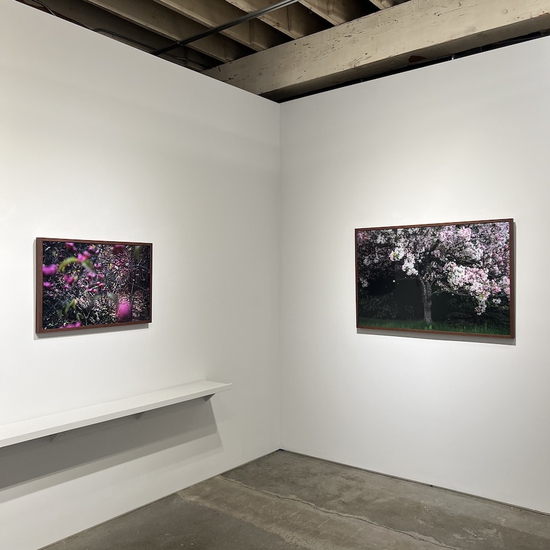 'All The Colors I Am Inside' Solo 2024 Exhibition