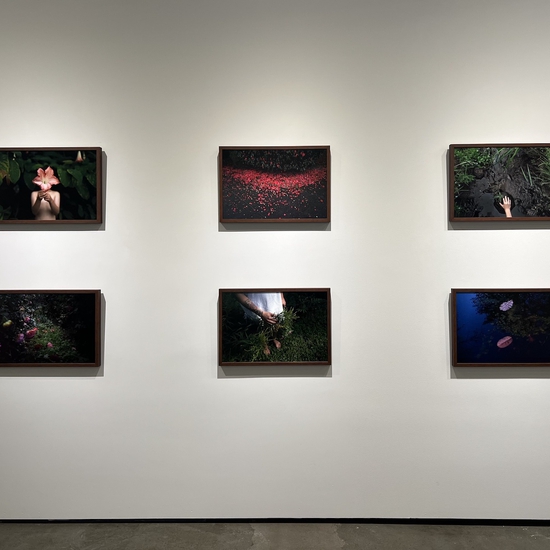 "All The Colors I Am Inside" Solo 2024 Exhibition