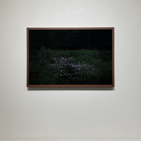 'All The Colors I Am Inside' Solo 2024 Exhibition