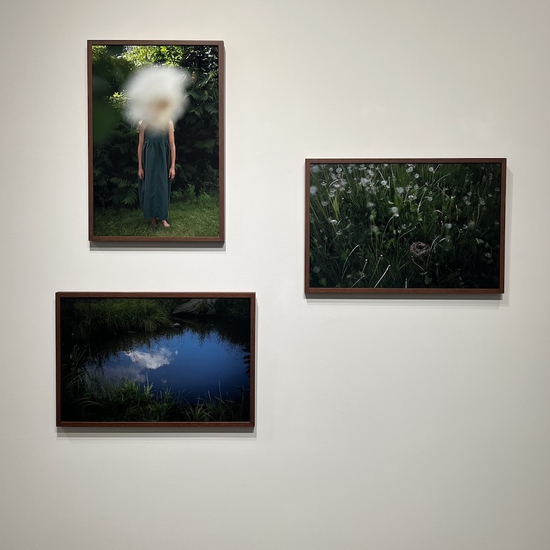 "All The Colors I Am Inside" Solo 2024 Exhibition