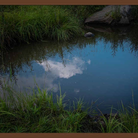 (10243) Stephen's Pond (Framed) -- Deb Achak