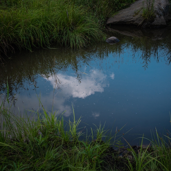 Deb Achak: Stephen's Pond, 2019, Archival pigment print, Available in various sizes