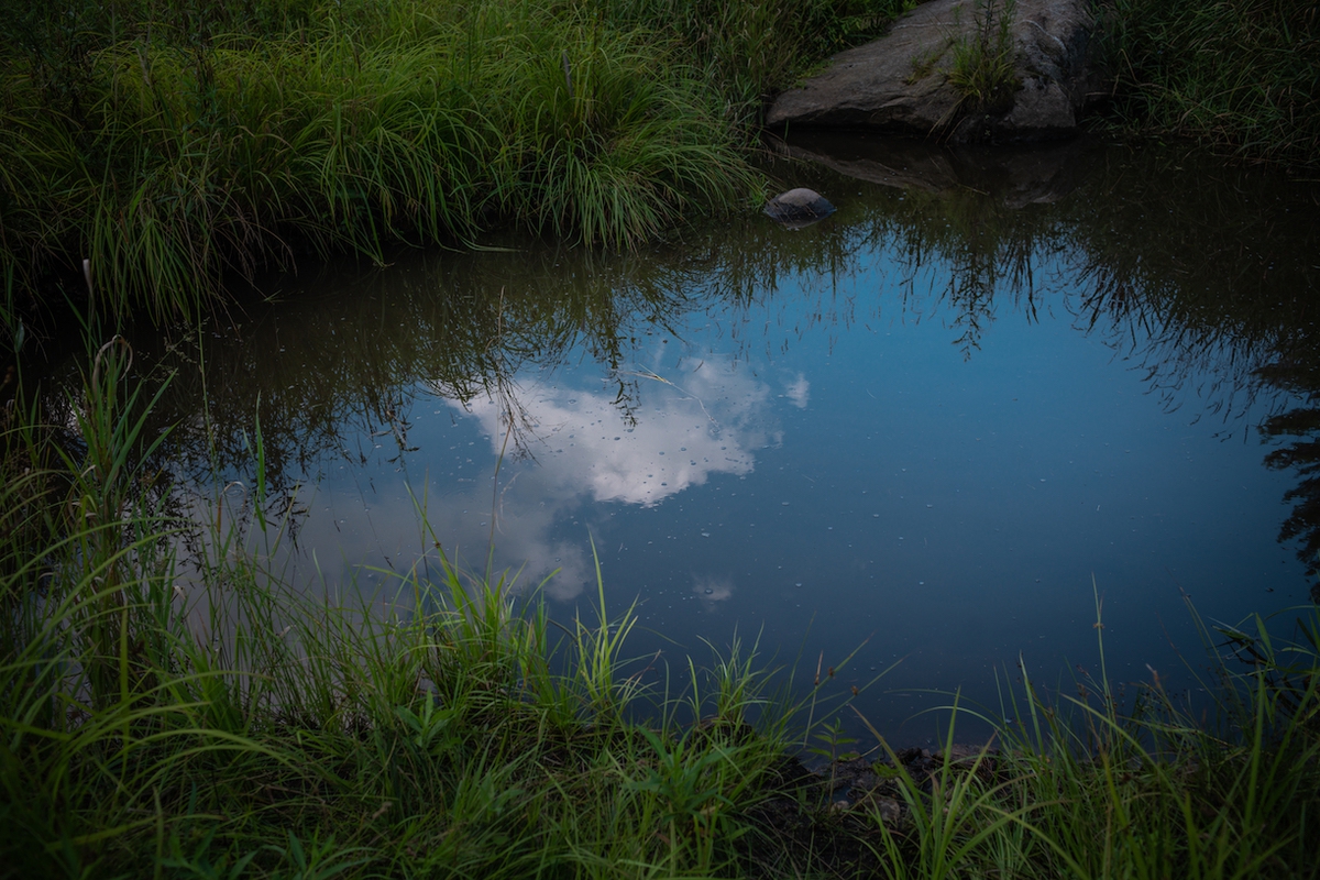 Deb Achak: Stephen's Pond, 2019, Archival pigment print, Available in various sizes