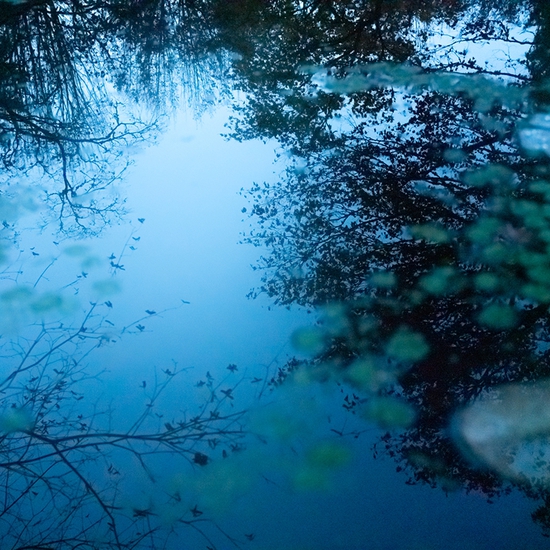 The Pond at Dusk