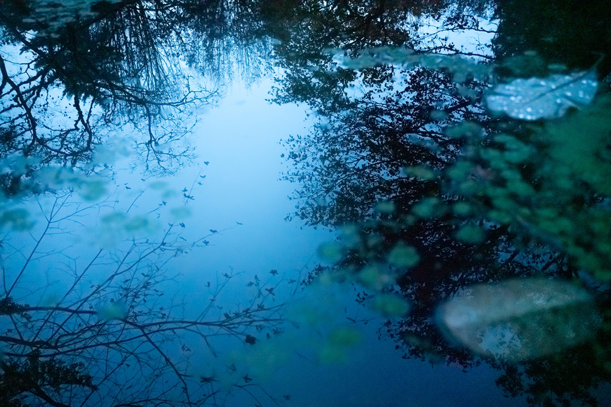 Deb Achak: The Pond at Dusk, 2019, Digital archival pigment print, 20 x 30, 30 x 45, 40 x 60 inches