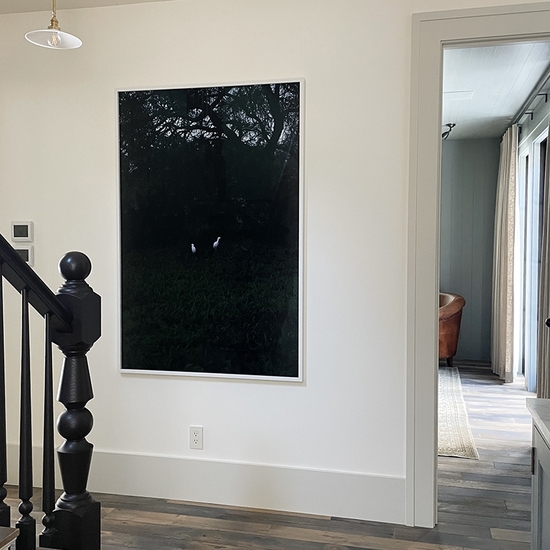 Installation of 'Two Egrets' in a private collection, photo courtesy of the artist