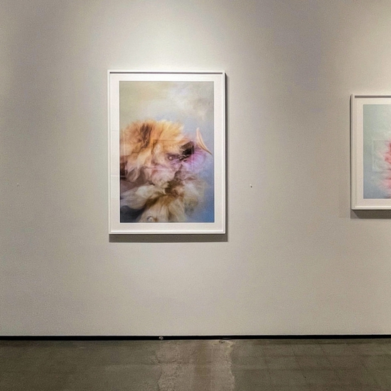 'My Eyes Need Beauty' 2021 Solo Exhibition