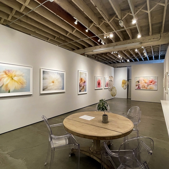 'My Eyes Need Beauty' 2021 Solo Exhibition