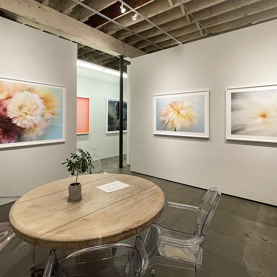 'My Eyes Need Beauty' 2021 Solo Exhibition