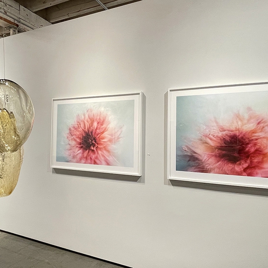 'My Eyes Need Beauty' 2021 Solo Exhibition