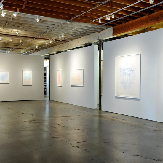 Amanda Manitach, 'Dirty', Installation view 2017