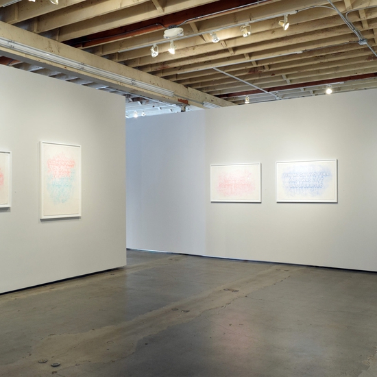 Amanda Manitach, 'Dirty', Installation view 2017