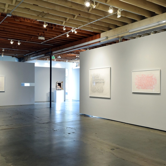 Amanda Manitach, 'Dirty', Installation view 2017