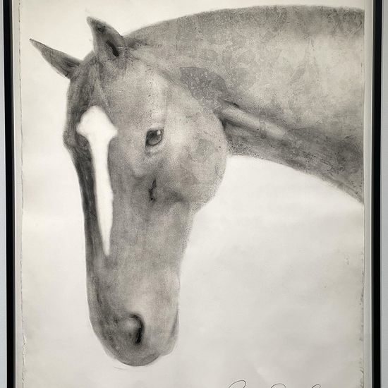 Joe Andoe, Untitled (Horse Head), 1998, Monotype, 45 x 36 inches, Framed dimensions 48 x 39 x 1.5 inches