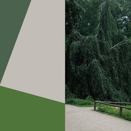 Yair Barak: Parks & Recreation #4, 2017, Archival pigment print on metallic paper mounted to aluminum, 1/5, 23 x 31 inches