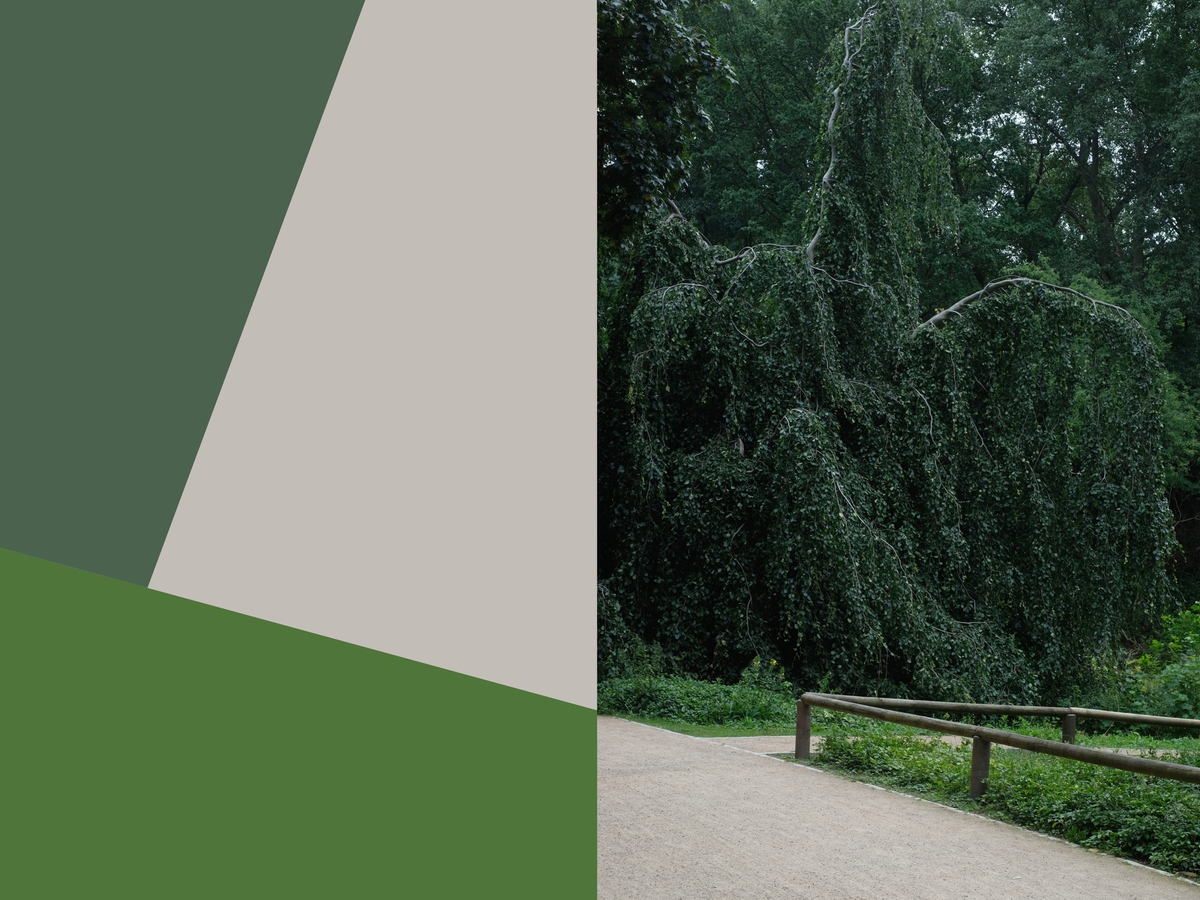 Yair Barak: Parks & Recreation #4, 2017, Archival pigment print on metallic paper mounted to aluminum, 1/5, 23 x 31 inches