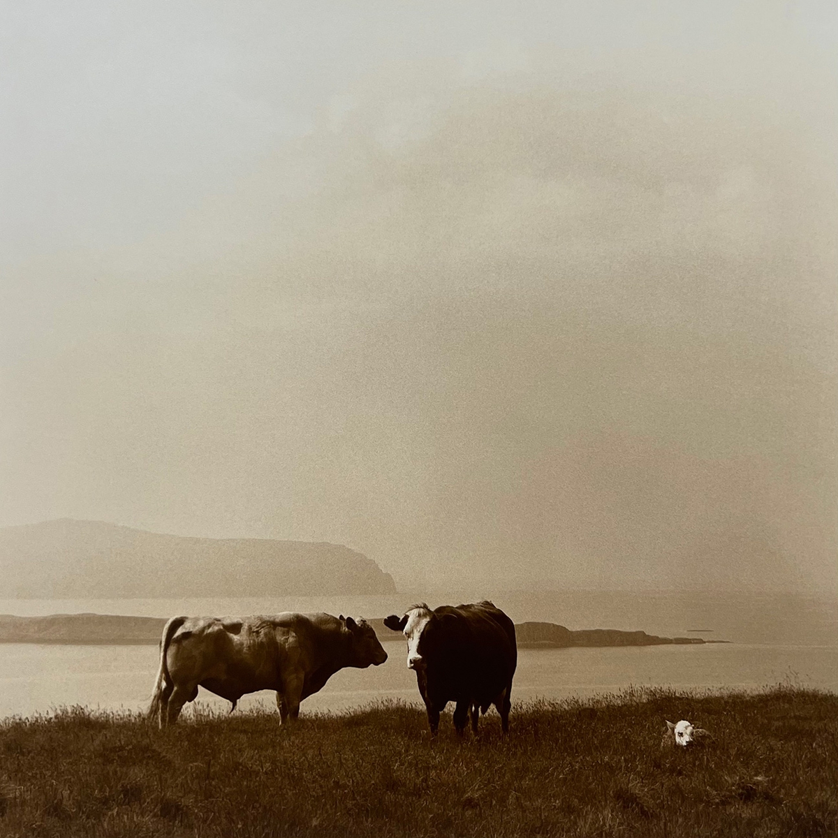 Rena Bass Forman: Island of Skye, Scotland 17, 1994, edition of 7, 19 x 19 inches (paper size: 20 x 24 inches)