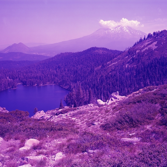David Benjamin Sherry: North Cascades National Park, Washington, 2019, Edition of 3, Chromogenic print, 40 x 50 inches (framed dimensions: 42.25 x 52.25 x 2 inches)