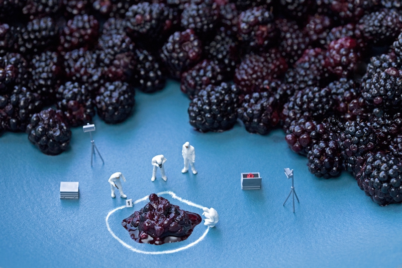 Christopher Boffoli: Blackberry CSI, 2011, Archival pigment ink print on metallic paper