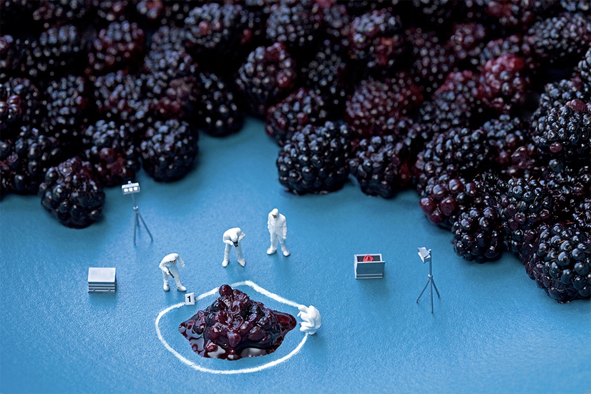 Blackberry CSI, 2011, Archival pigment print on metallic paper, Available in various sizes
